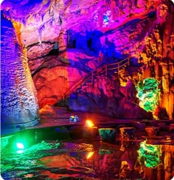 Подсветка деревьев, уличный прожектор для подсветки деревьев купить