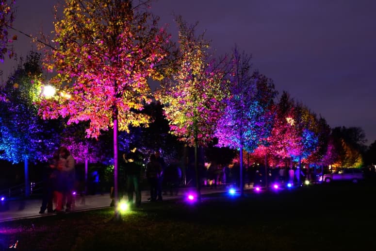 Подсветка деревьев, уличный прожектор для подсветки деревьев купить