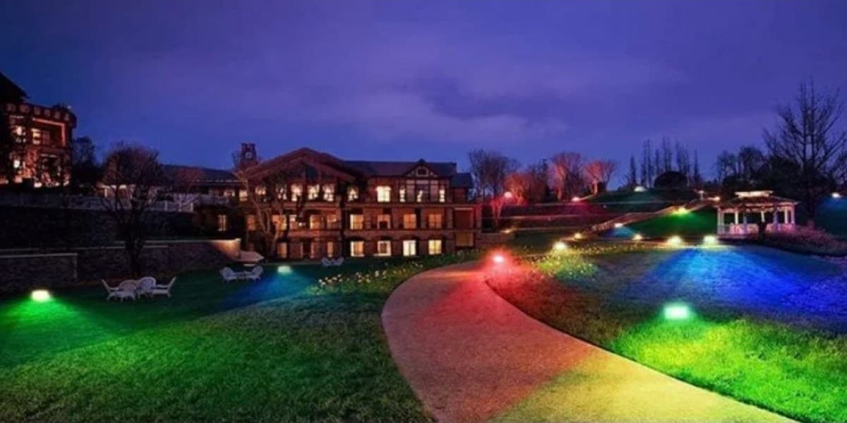 Подсветка деревьев, уличный прожектор для подсветки деревьев купить